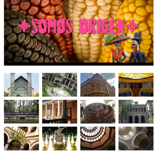 SOMOS ORIGEN