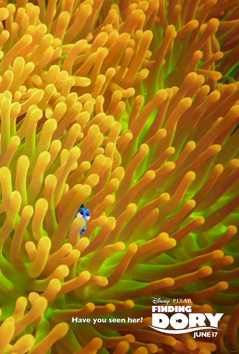 finding_dory_ver2_xlg