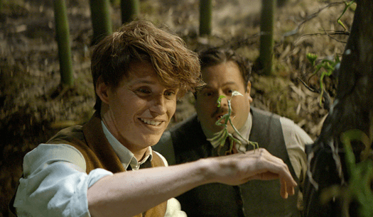 captura-de-pantalla-2016-11-23-a-las-11-24-10