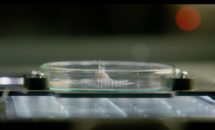 captura-de-pantalla-2017-02-07-a-las-18-08-25