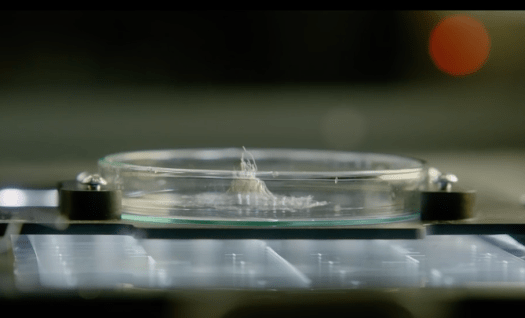 captura-de-pantalla-2017-02-07-a-las-18-08-25